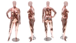 Ex Produto 2 (cópia)